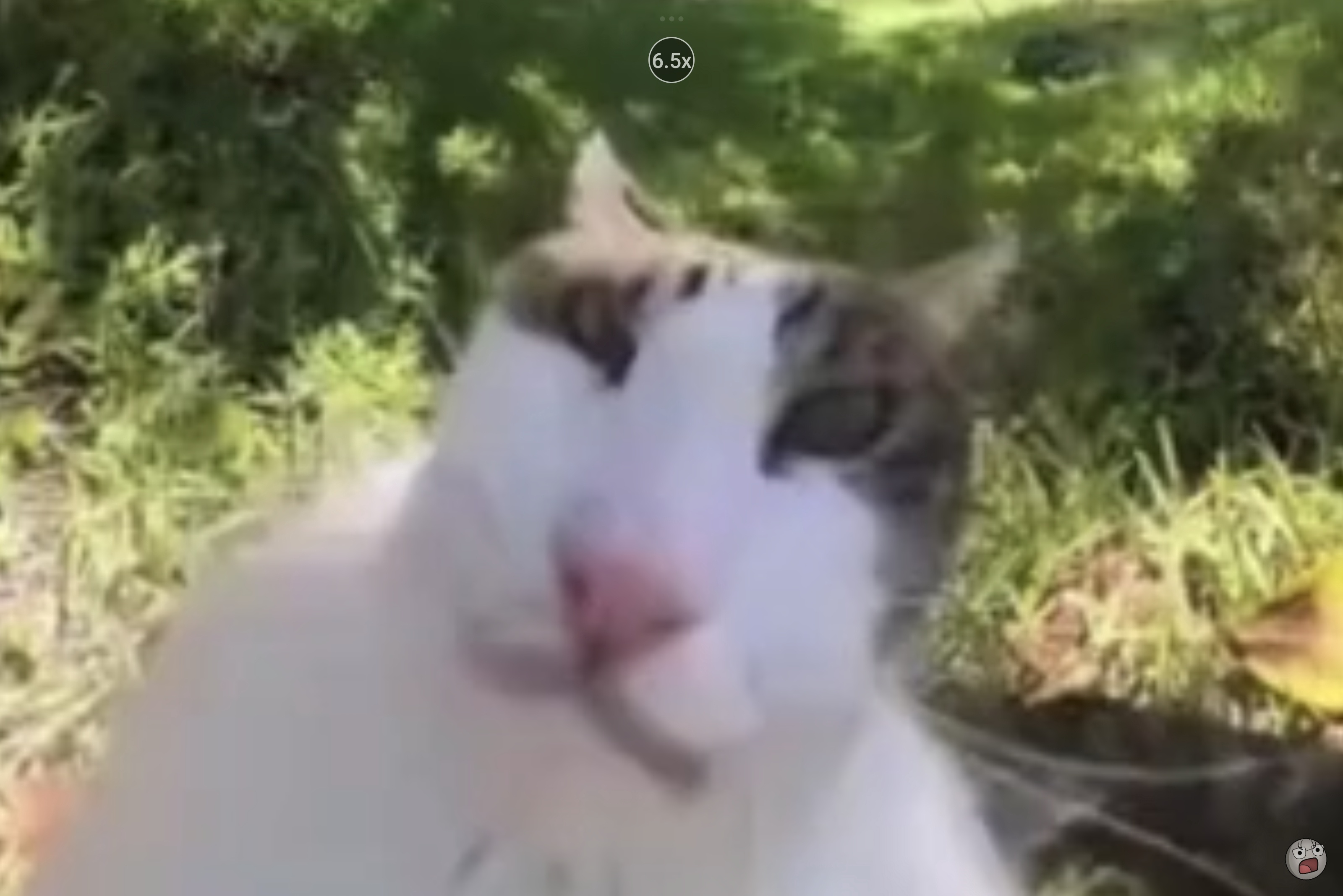 Аватар пользователя