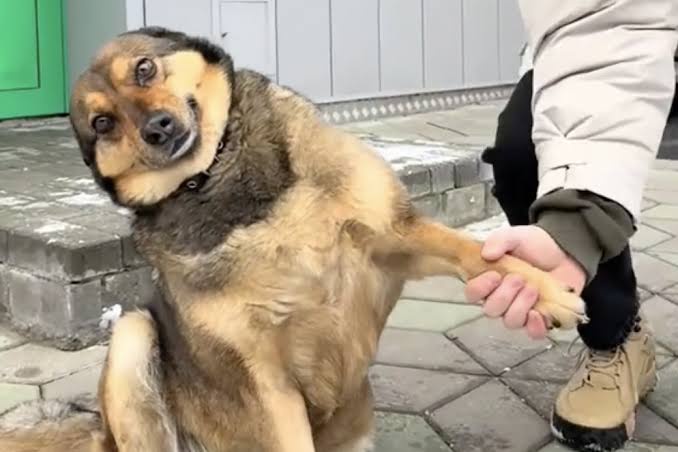 Аватар пользователя