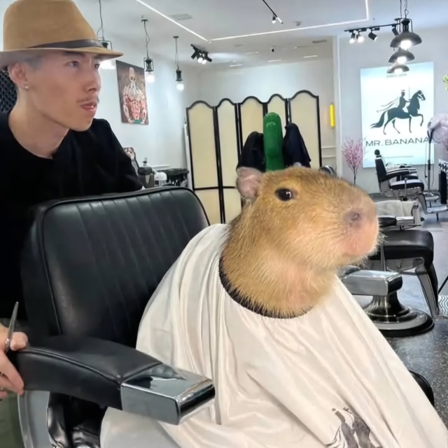 Аватар пользователя