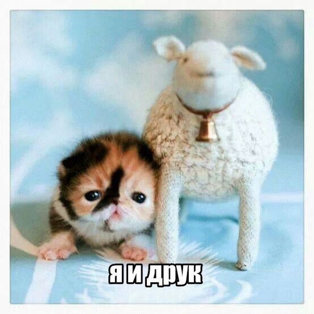 Аватар пользователя