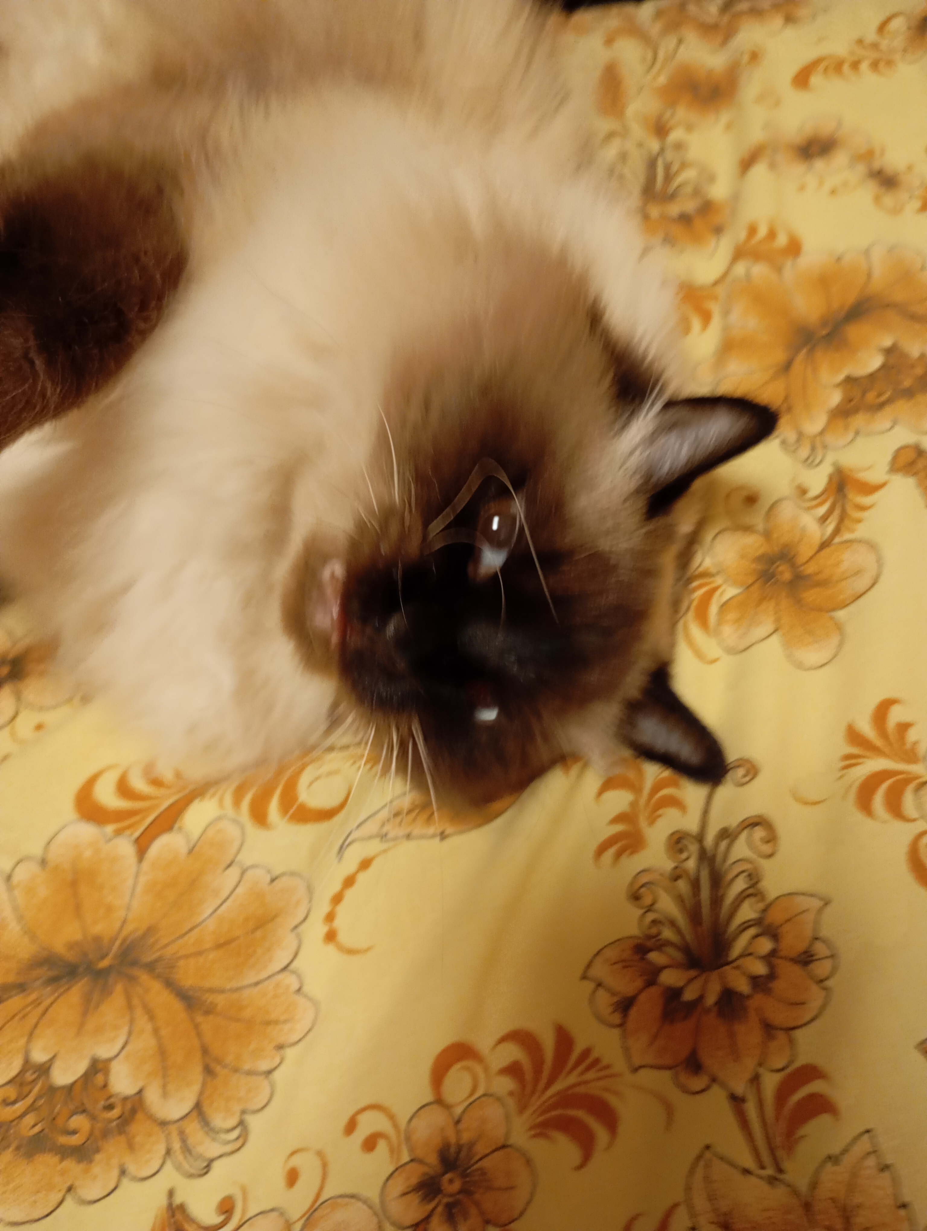 Аватар пользователя