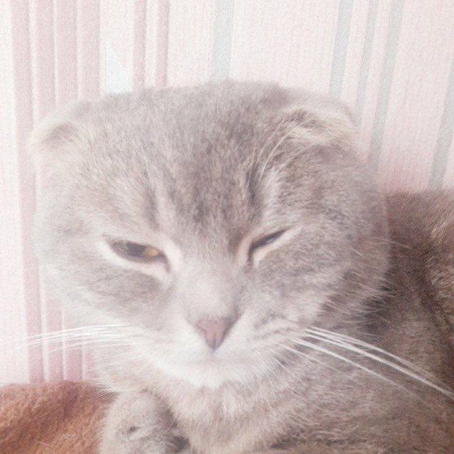 Аватар пользователя