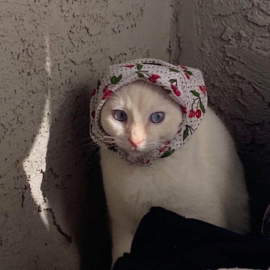 Аватар пользователя
