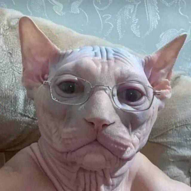 Аватар пользователя