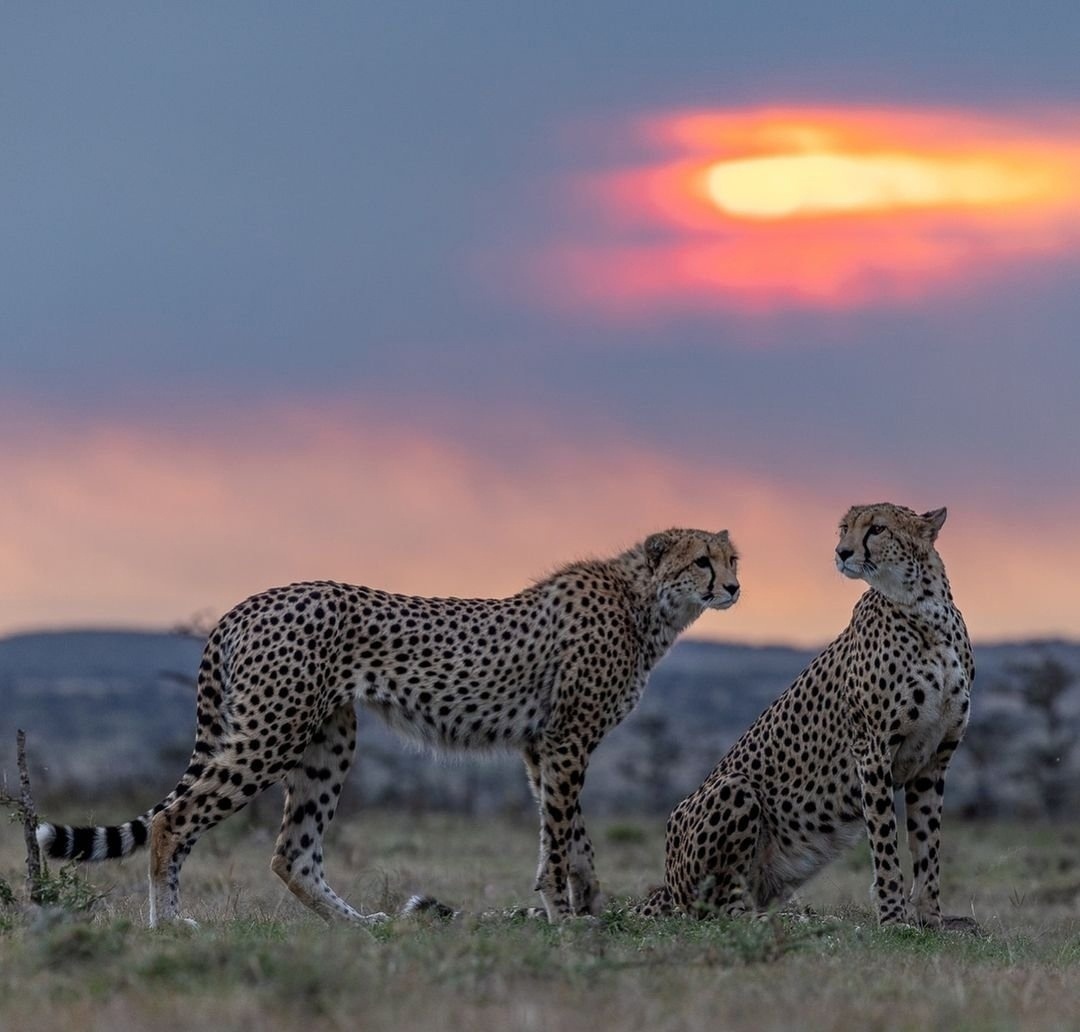 Аватар пользователя