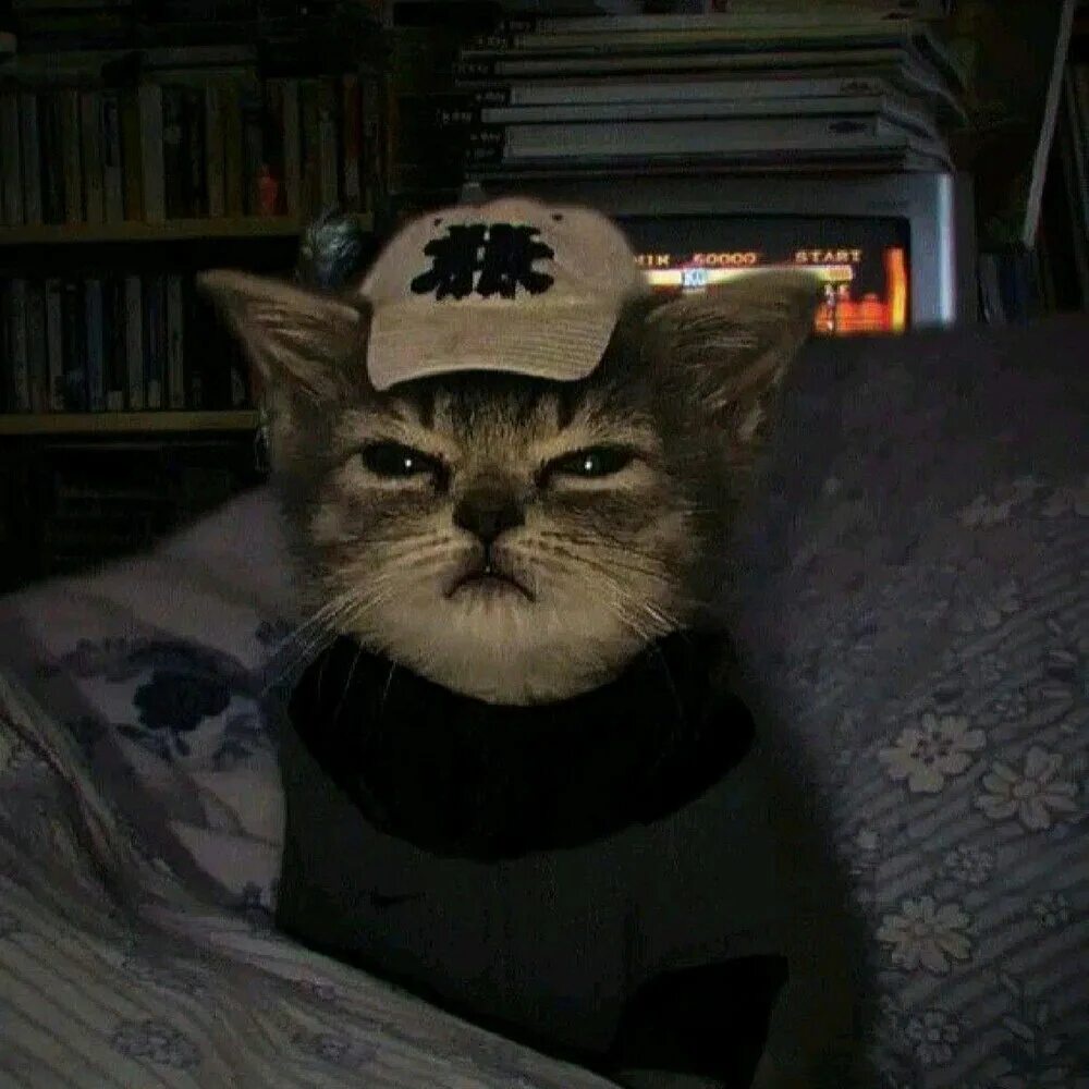 Аватар пользователя