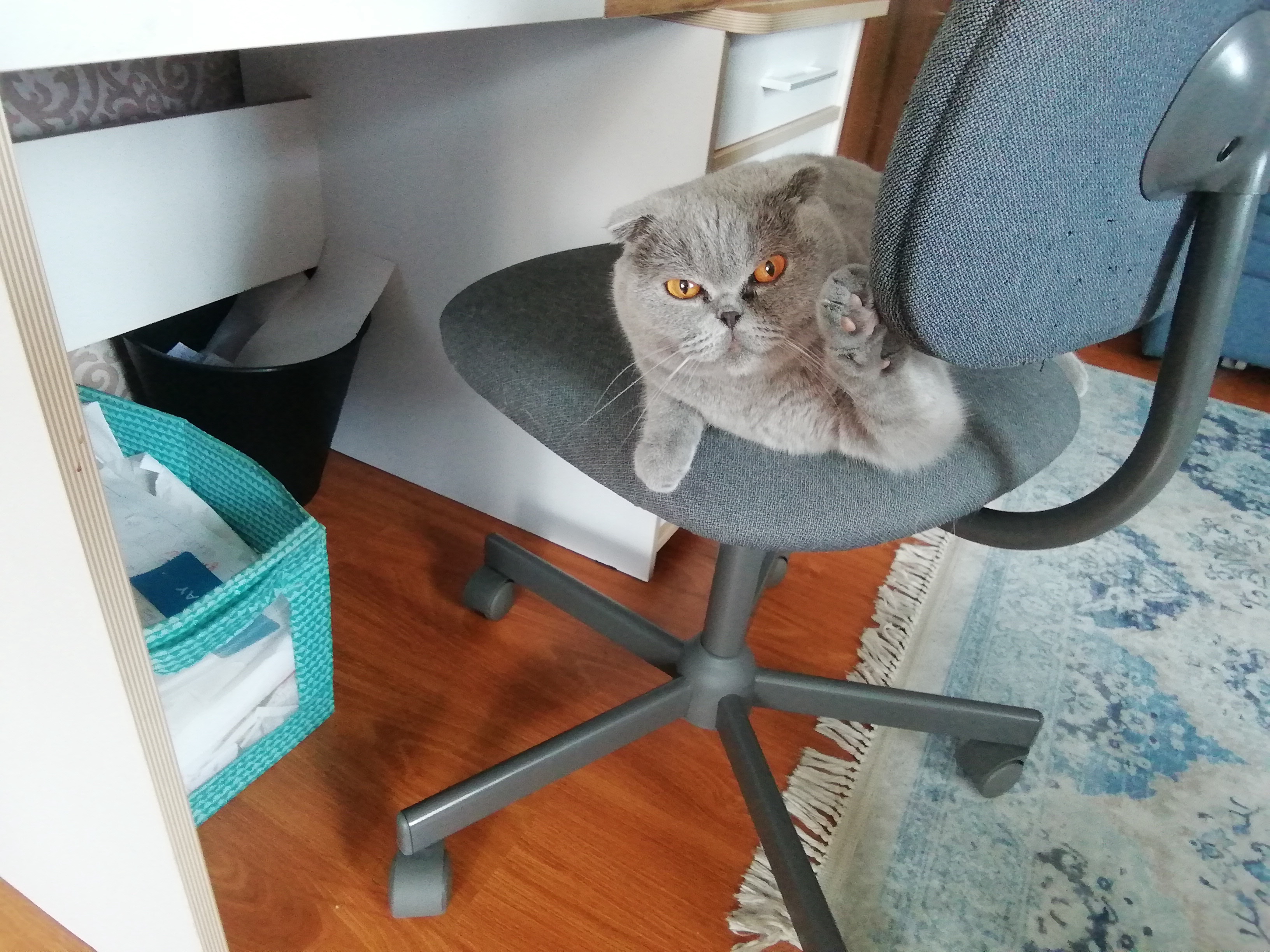 Аватар пользователя