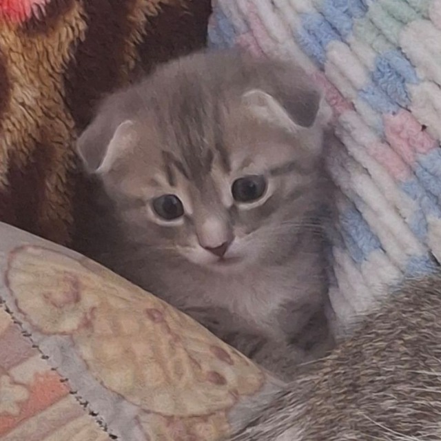 Аватар пользователя