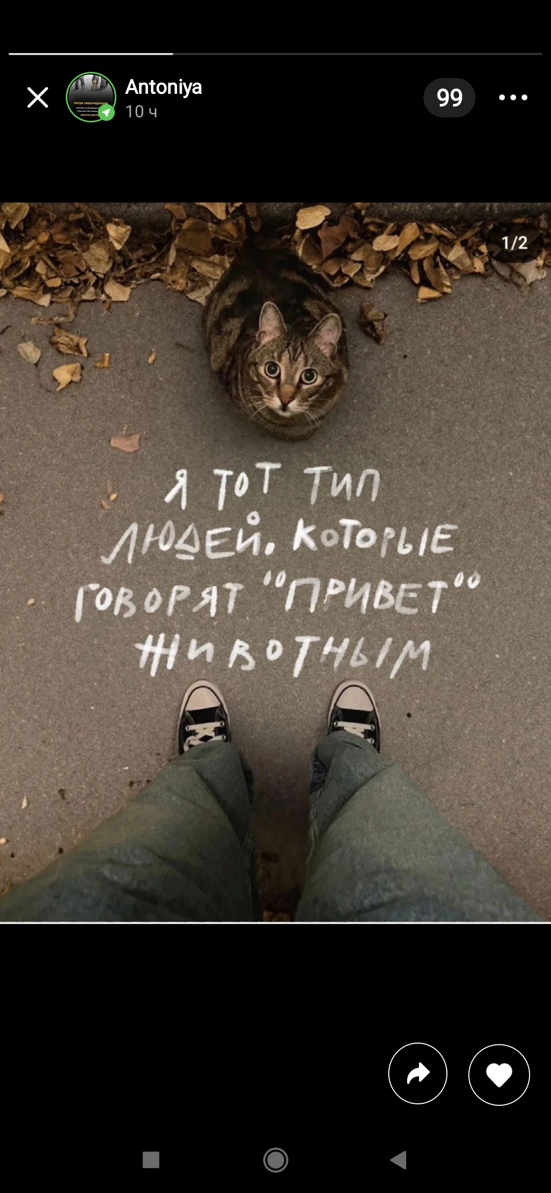 Аватар пользователя