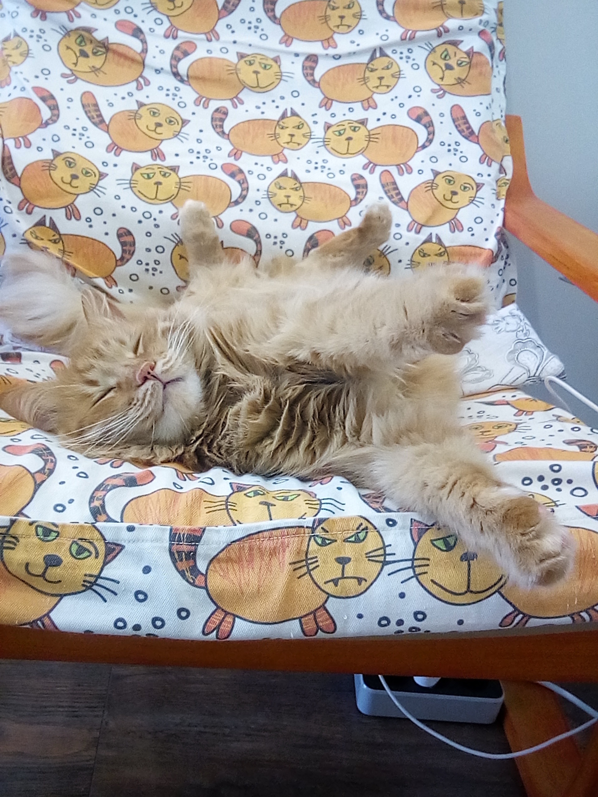 Аватар пользователя