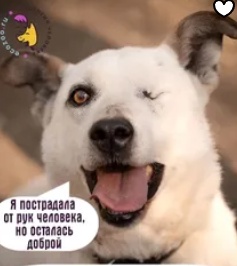 Аватар пользователя