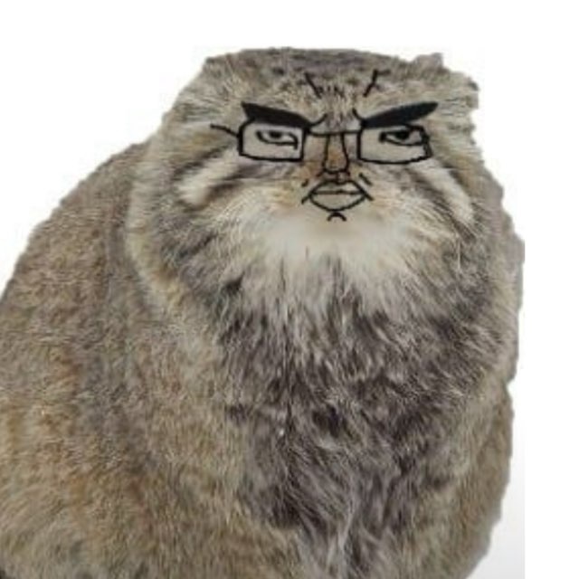 Аватар пользователя