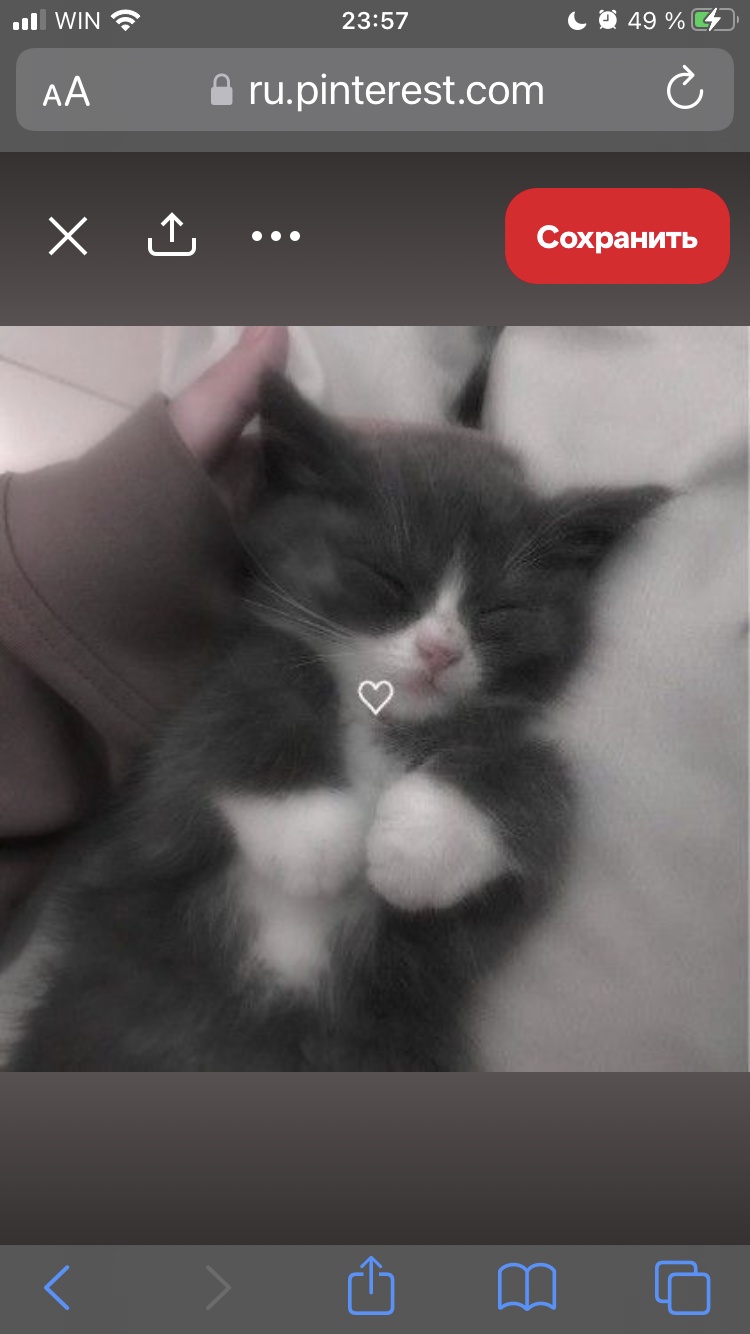 Аватар пользователя