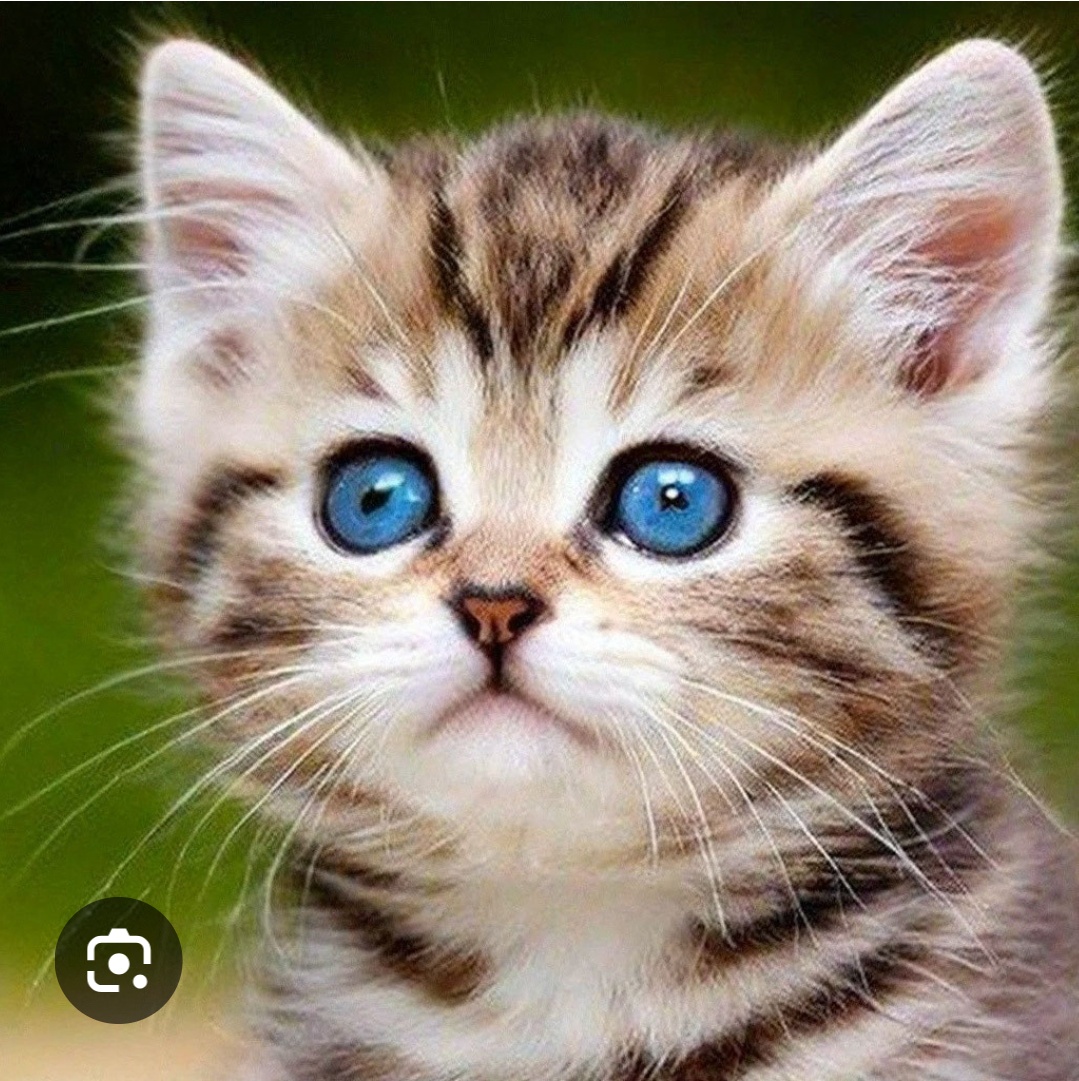 Аватар пользователя